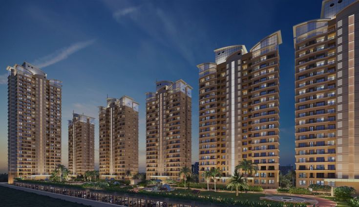 Noida’s Top Consultant